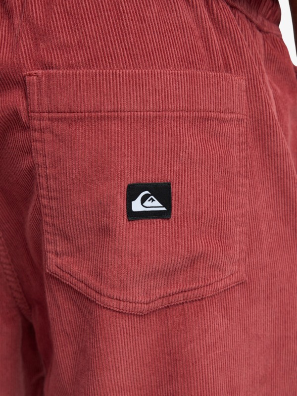 Taxer Regular Cord - Trousers for Men  EQYNP03315