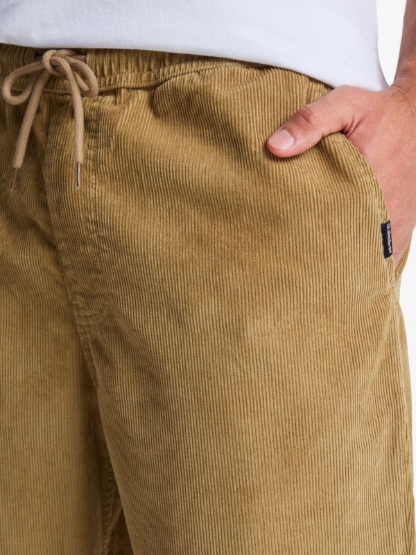 Taxer Regular Cord - Trousers for Men  EQYNP03315