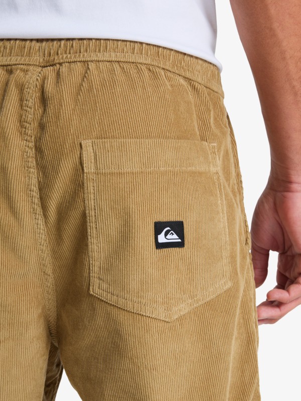 Taxer Regular Cord - Trousers for Men  EQYNP03315