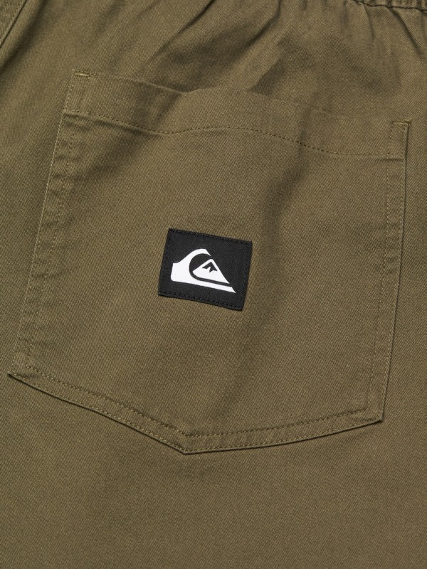 Taxer Regular Twill  EQYNP03328