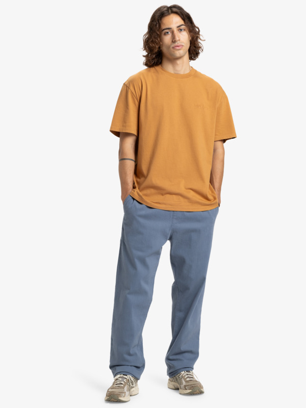 Taxer Regular Twill  EQYNP03328