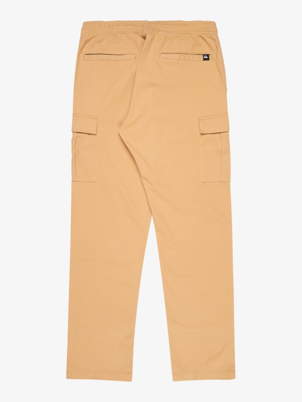 Taxer Regular - Cargo Pant for Men  EQYNP03337
