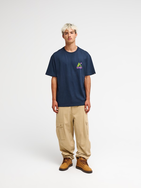 Quiksilver Cargo  EQYNP03353