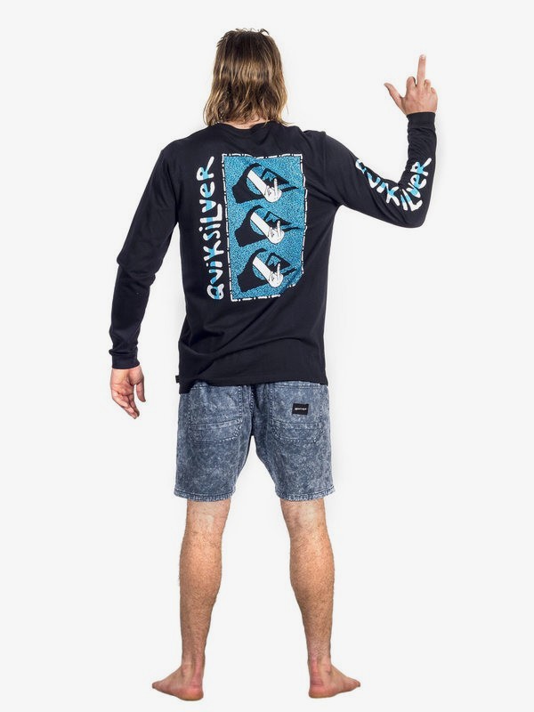 Quiksilver fonic shorts sales