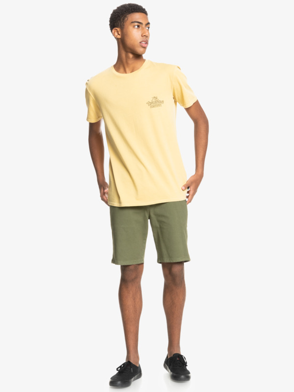 Krandy 19" - Chino Shorts for Men  EQYWS03570