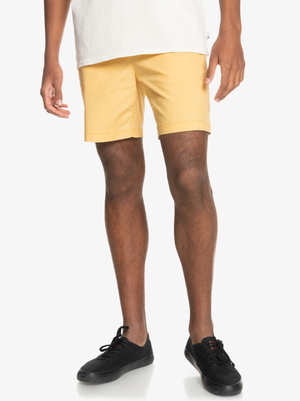 Taxer 17" - Elasticated Shorts for Men  EQYWS03610