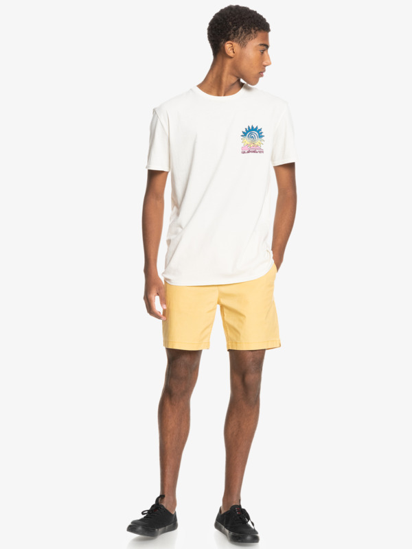 Taxer 17" - Elasticated Shorts for Men  EQYWS03610