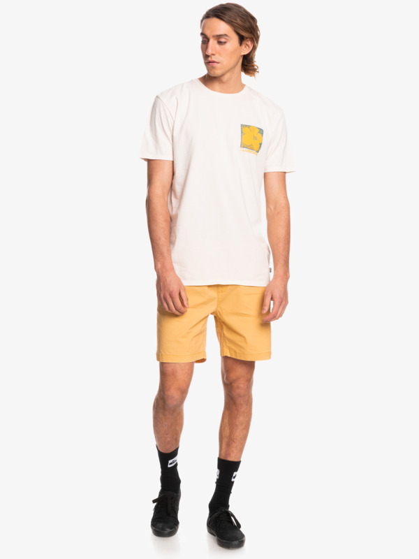 Taxer 17" - Elasticated Shorts for Men  EQYWS03610