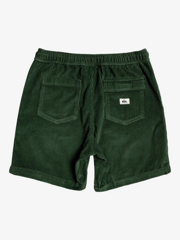 Taxer 17" - Elasticated Shorts for Men  EQYWS03740