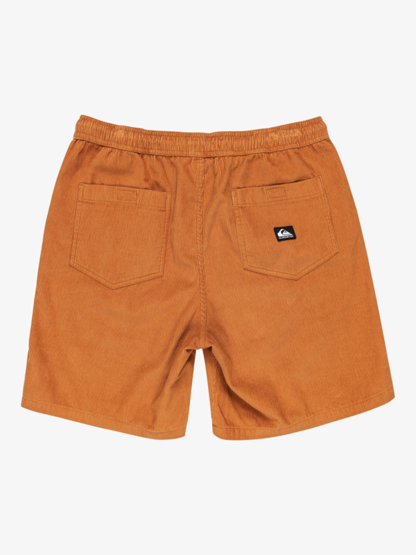 Taxer 18" - Corduroy Walkshorts for Men  EQYWS03878