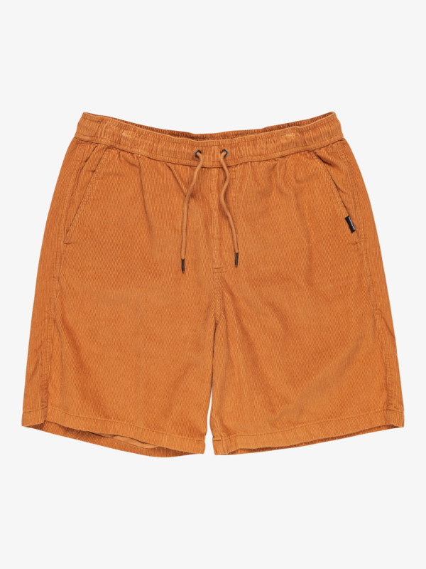 Taxer 18" - Corduroy Walkshorts for Men  EQYWS03878