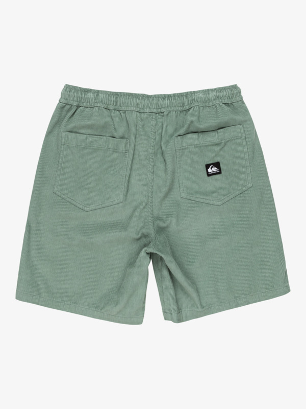 Taxer 18" - Corduroy Walkshorts for Men  EQYWS03878