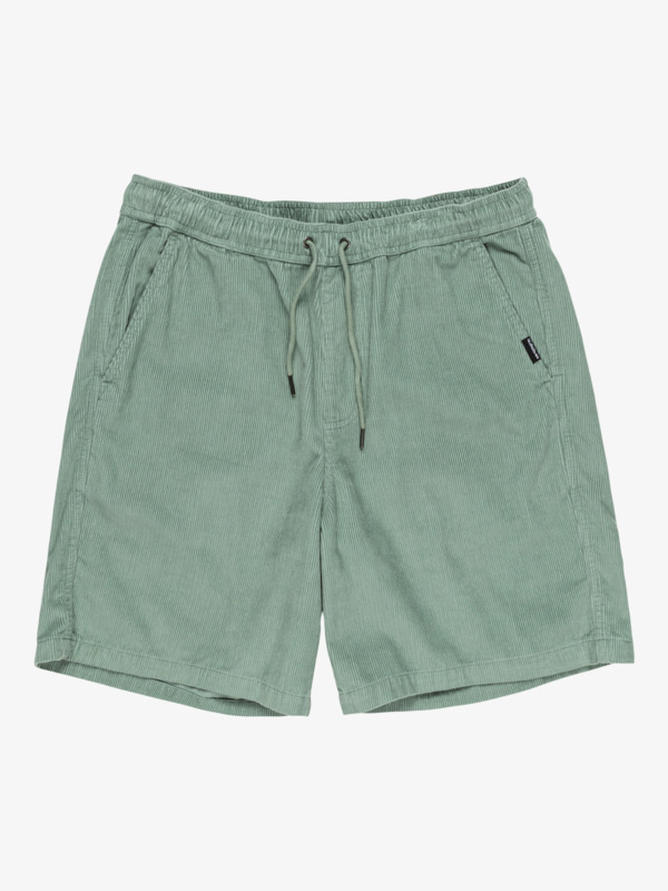 Taxer 18" - Corduroy Walkshorts for Men  EQYWS03878