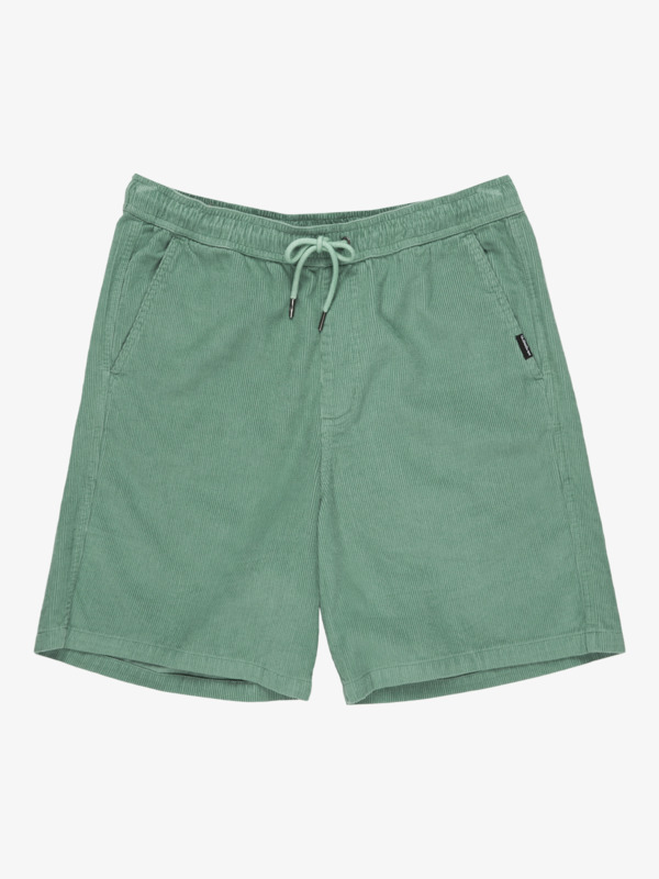 Taxer 18" - Corduroy Walkshorts for Men  EQYWS03878