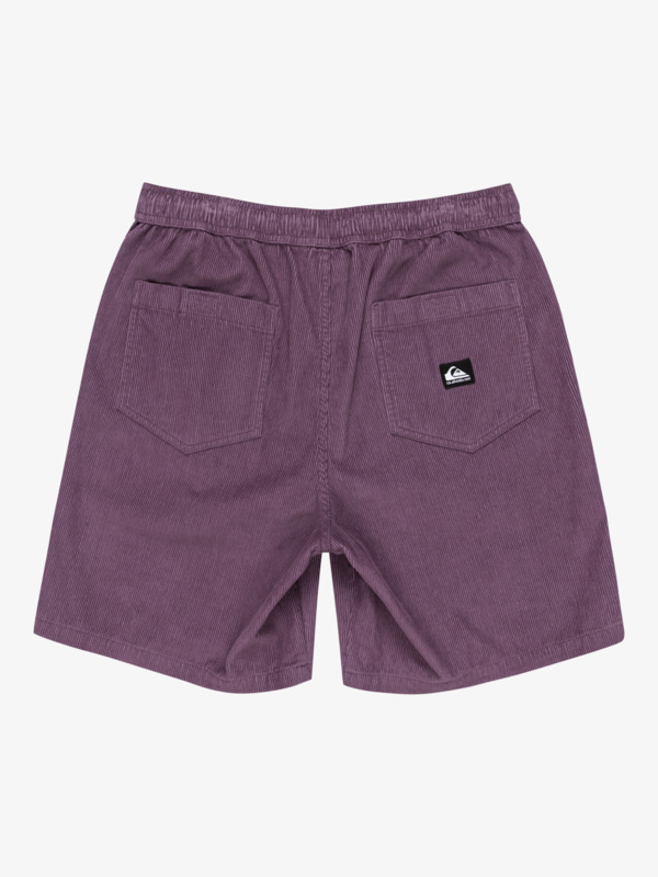 Taxer 18" - Corduroy Walkshorts for Men  EQYWS03878