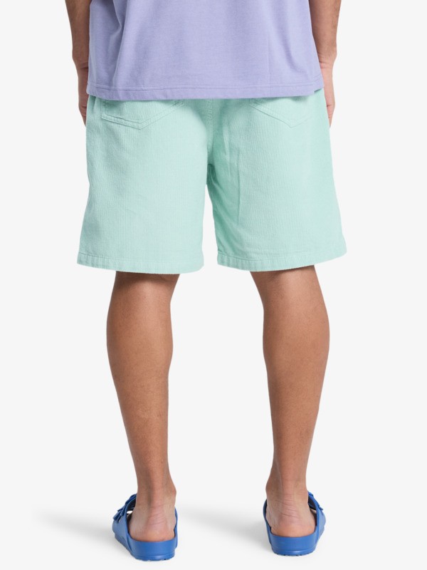 Taxer 18" - Corduroy Walkshorts for Men  EQYWS03878