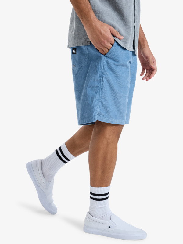 Taxer 18" - Corduroy Walkshorts for Men  EQYWS03878