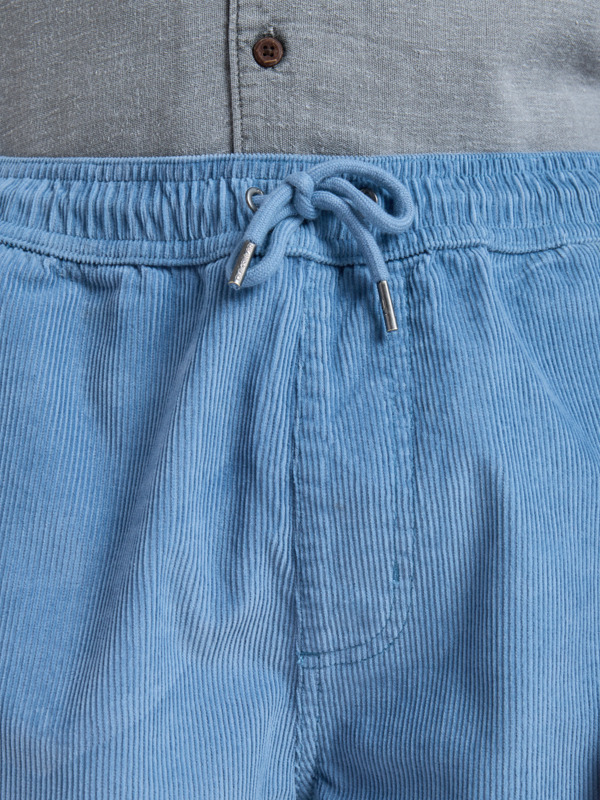 Taxer 18" - Corduroy Walkshorts for Men  EQYWS03878