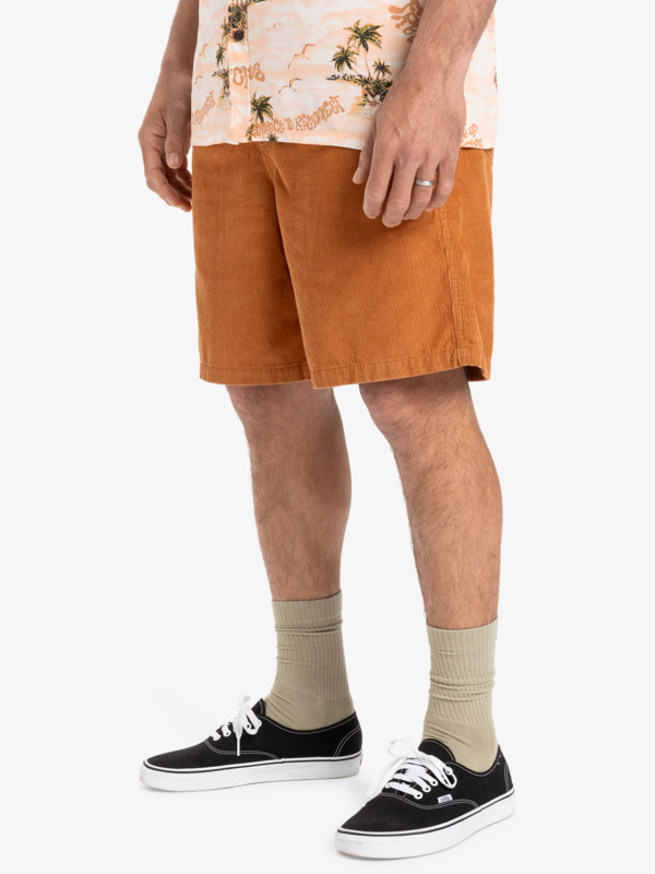 Taxer 18" - Corduroy Walkshorts for Men  EQYWS03878