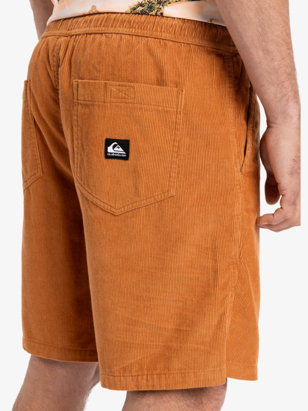 Taxer 18" - Corduroy Walkshorts for Men  EQYWS03878