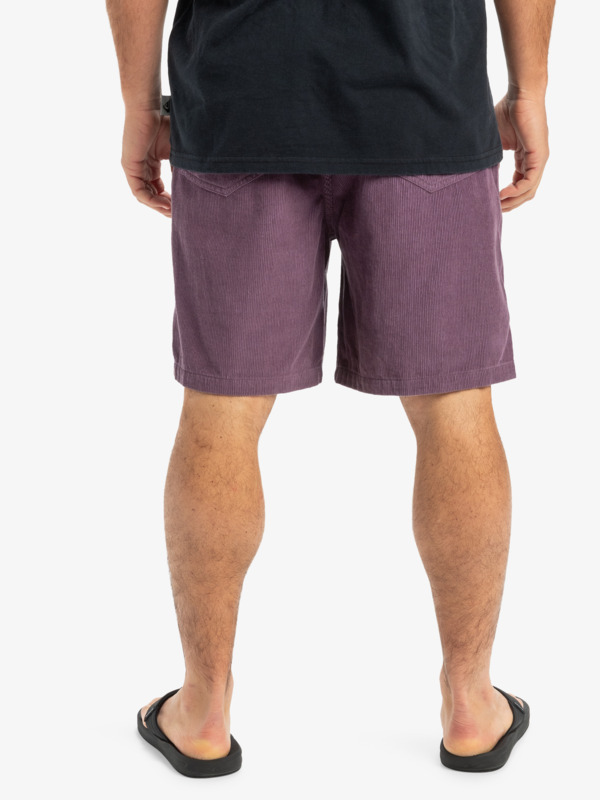 Taxer 18" - Corduroy Walkshorts for Men  EQYWS03878