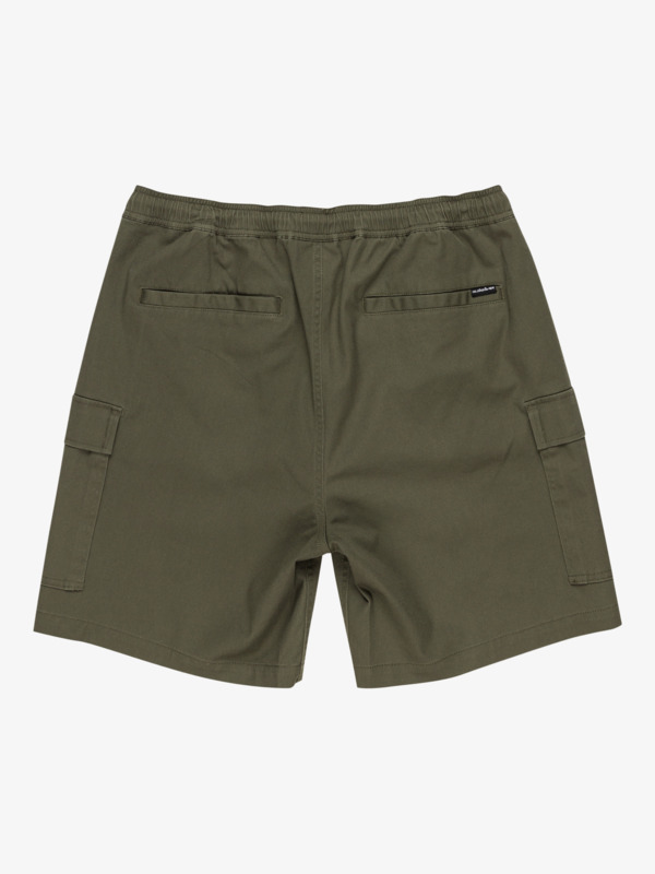 Taxer 19" - Cargo Walkshorts for Men  EQYWS03879