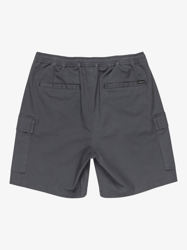 Taxer 19" - Cargo Walkshorts for Men  EQYWS03879