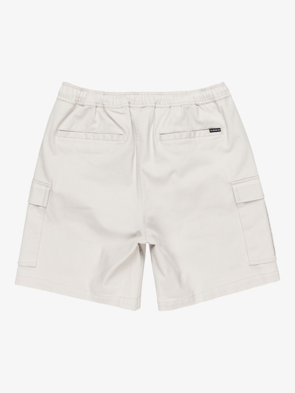 Taxer 19" - Cargo Walkshorts for Men  EQYWS03879