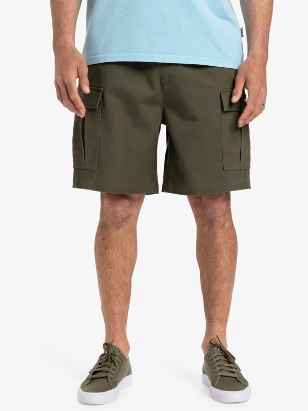 Taxer 19" - Cargo Walkshorts for Men  EQYWS03879