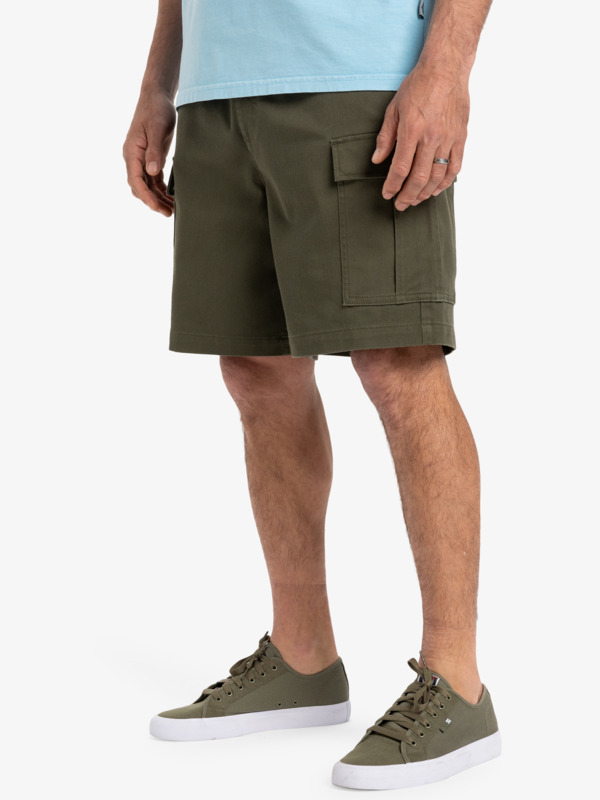 Taxer 19" - Cargo Walkshorts for Men  EQYWS03879