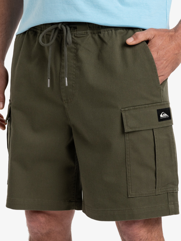 Taxer 19" - Cargo Walkshorts for Men  EQYWS03879