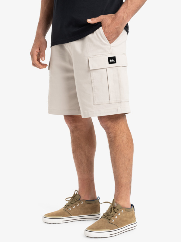 Taxer 19" - Cargo Walkshorts for Men  EQYWS03879