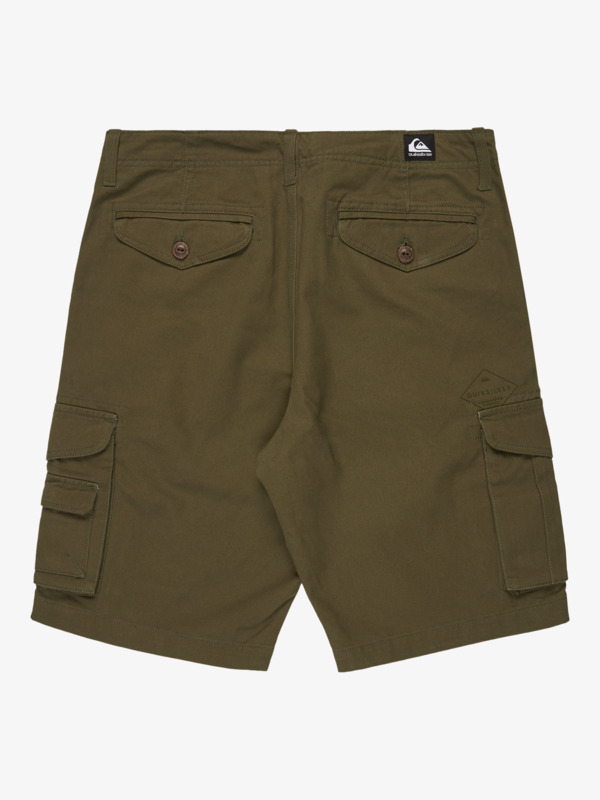 Crucial Battle 21" - Cargo Walkshorts for Men  EQYWS03881