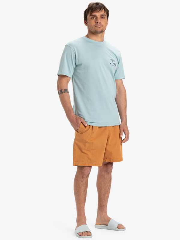 The Pipe Beach 19" - Beachshorts for Men  EQYWS03888