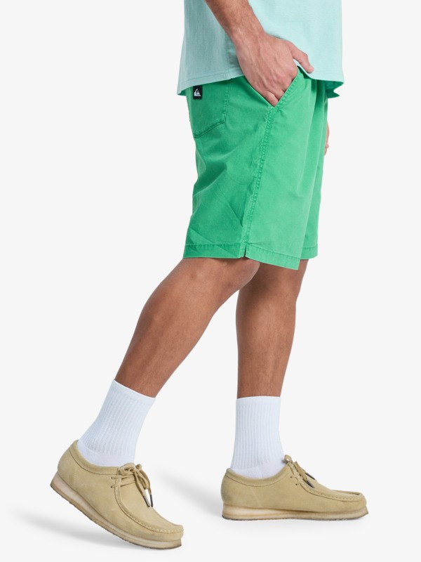 Taxer 19" - Elasticated Shorts for Men  EQYWS03915