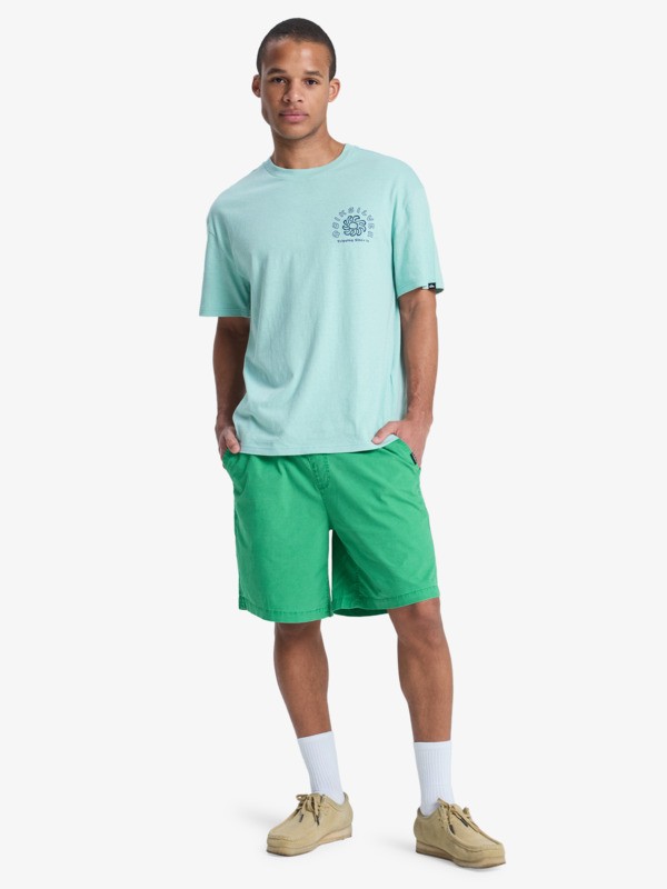 Taxer 19" - Elasticated Shorts for Men  EQYWS03915