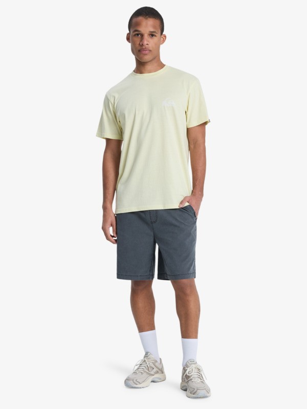 Taxer 19" - Elasticated Shorts for Men  EQYWS03915