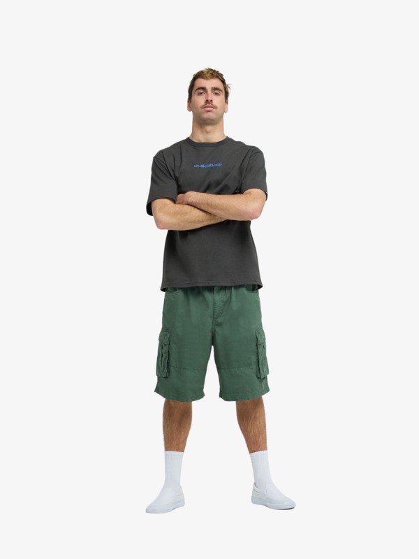 Freefall Cargo - Elasticated Cargo Shorts for Men  EQYWS03917