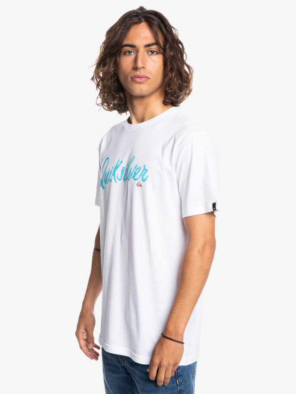 FLAXTON SCRIPT EQYZT05701