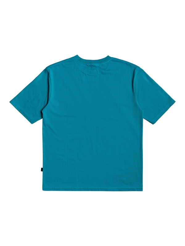 Quiksilver - T-Shirt for Men EQYZT06007