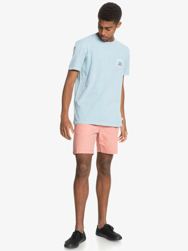 Dream Sessions - Organic T-Shirt for Men  EQYZT06364