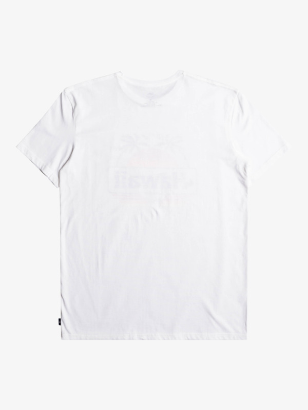 Qs Aloha - T-Shirt for Men  EQYZT07089