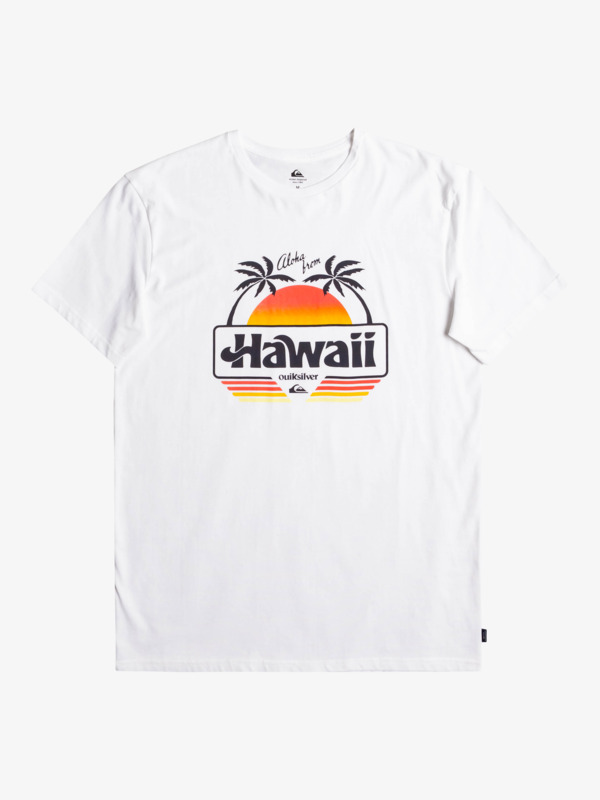 Qs Aloha - T-Shirt for Men  EQYZT07089