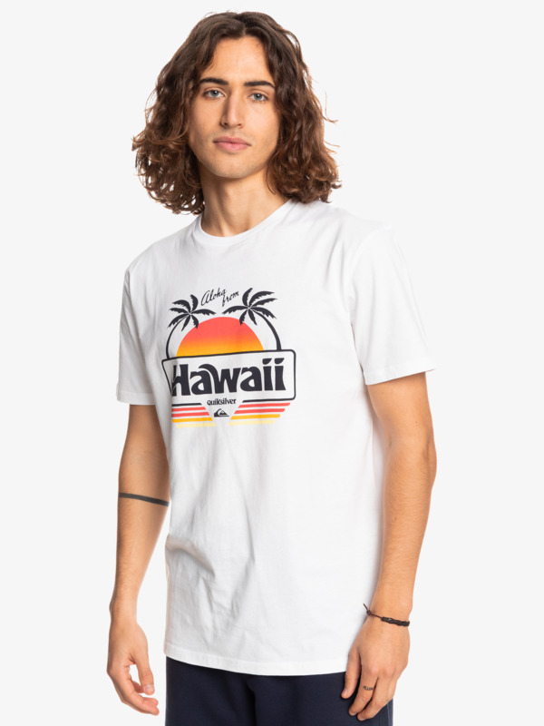 Qs Aloha - T-Shirt for Men  EQYZT07089