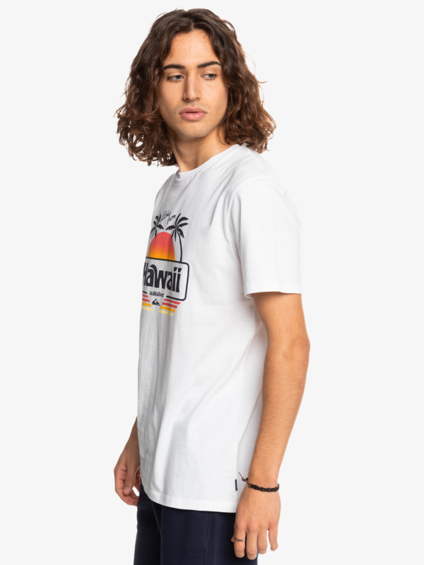 Qs Aloha - T-Shirt for Men  EQYZT07089