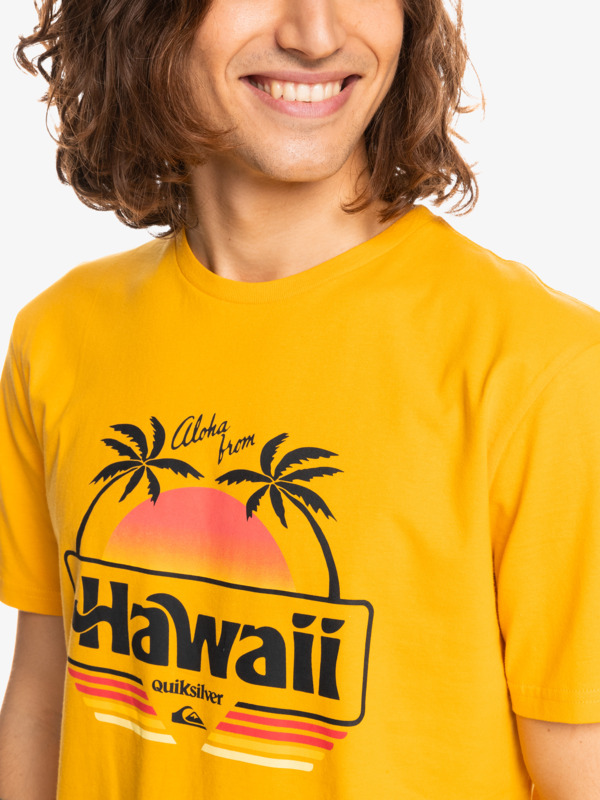 Qs Aloha - T-Shirt for Men EQYZT07089