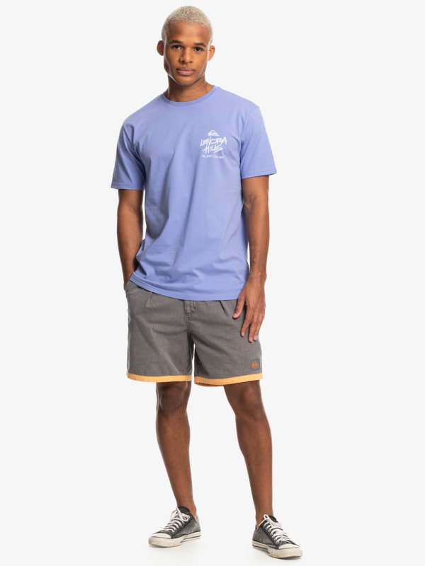 Quiksilver x Stranger Things Lenora - T-Shirt for Men  EQYZT07183