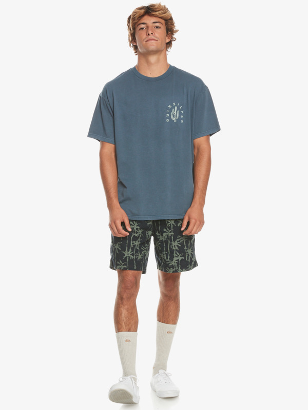 SILVER LINING SS  EQYZT07490