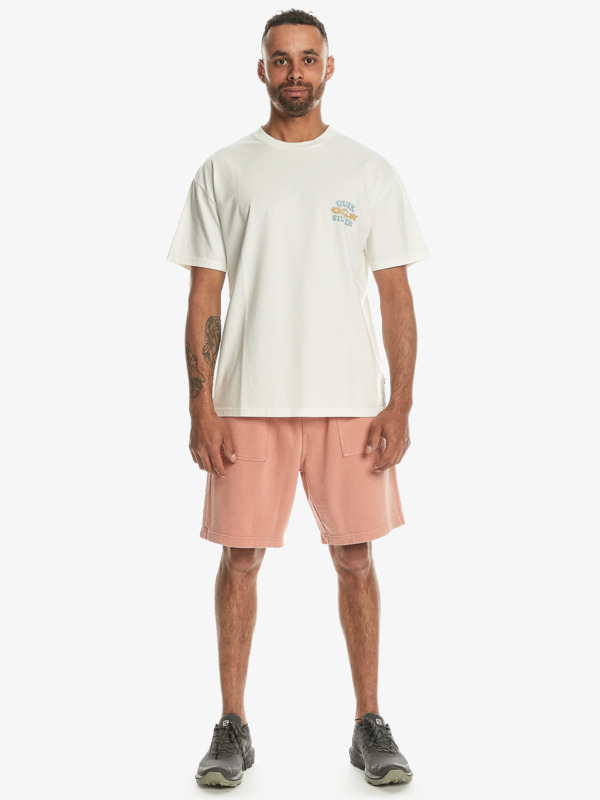 Lifes Quik  EQYZT07621