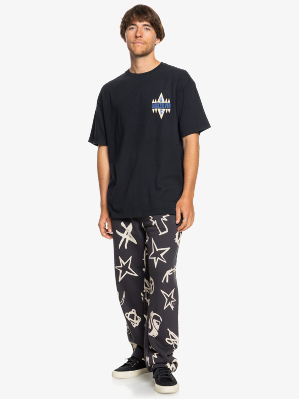 Geo Quik  EQYZT07829